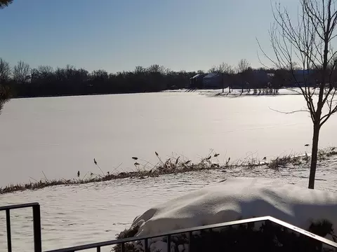 14009 Cambridge Cir, Plainfield, IL 60544 photo 14