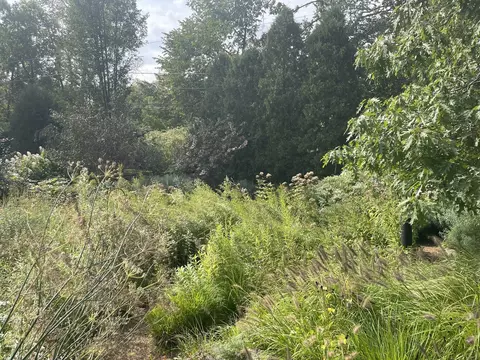 View/Area - 700 Indian Rd, Glenview, IL 60025 photo 1 of 1