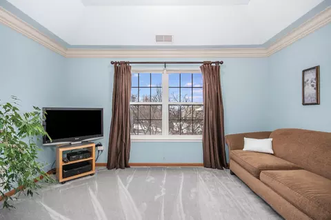 712 Eagle Brook Ln, Naperville, IL 60565 photo 19