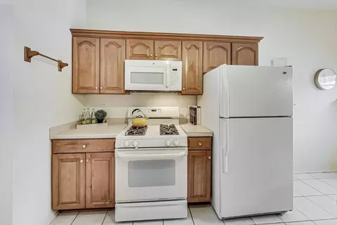 903 S Golfview Pl, Mount Prospect, IL 60056 photo 14