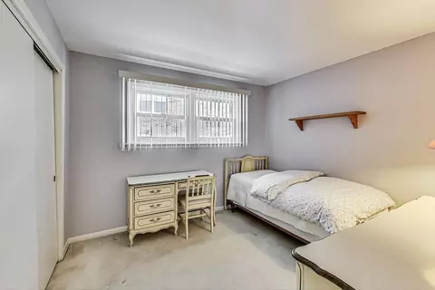903 S Golfview Pl, Mount Prospect, IL 60056 photo 22