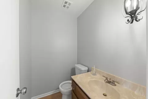 Bath - 1967 Briarcliffe Blvd, Wheaton, IL 60189 photo 1 of 3