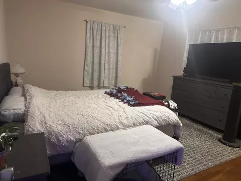 202 E Locust St, Tolono, IL 61880 photo 13
