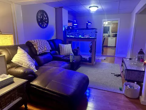 202 E Locust St, Tolono, IL 61880 photo 3
