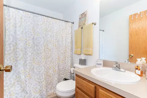 632 Spring Leaf Dr, Joliet, IL 60431 photo 15