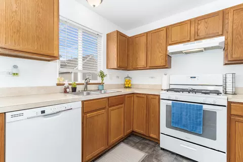 632 Spring Leaf Dr, Joliet, IL 60431 photo 10