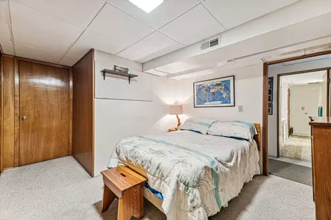 581 E Park Ave, Elmhurst, IL 60126 photo 24