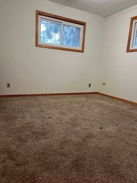 24910 S Willard St, Channahon, IL 60410 photo 7
