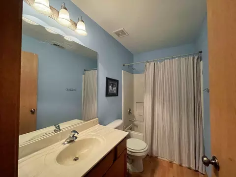 21417 W Georgetown Dr, Plainfield, IL 60544 photo 16
