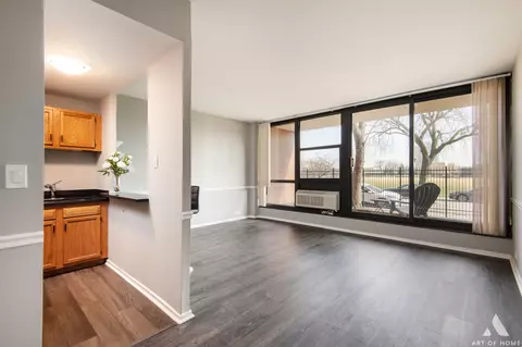 3021 S Michigan Ave #107, Chicago, IL 60616