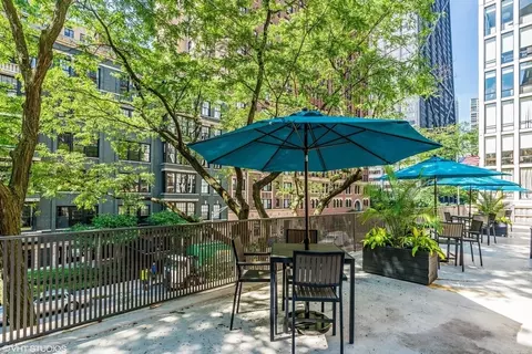 200 E Delaware Pl #18E, Chicago, IL 60611 photo 25