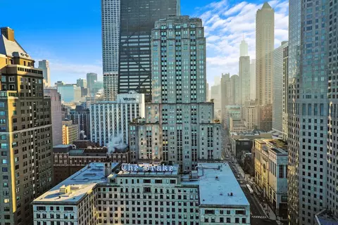 View/Area - 159 E Walton Pl #12C, Chicago, IL 60611 photo 3 of 3