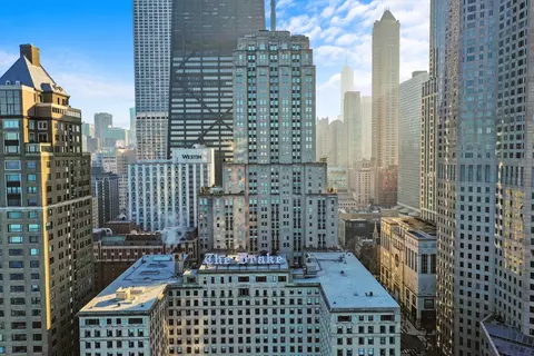 View/Area - 159 E Walton Pl #12C, Chicago, IL 60611 photo 2 of 3