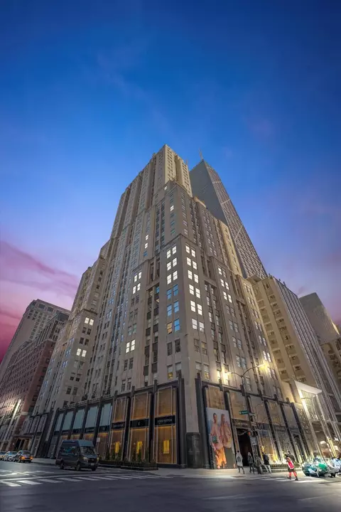 Exterior - 159 E Walton Pl #12C, Chicago, IL 60611 photo 3 of 3
