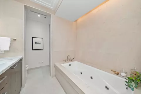 Bath - 159 E Walton Pl #12C, Chicago, IL 60611 photo 3 of 6