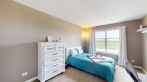 210 Bald Eagle Ln, Beecher, IL 60401 photo 28