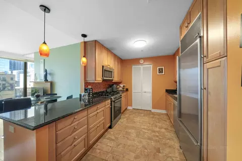 60 E Monroe St #1606, Chicago, IL 60603 photo 7