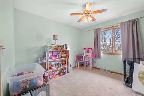 703 3rd St, Manhattan, IL 60442 photo 21