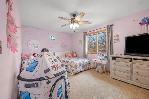 703 3rd St, Manhattan, IL 60442 photo 25