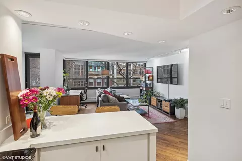 33 E Cedar St #4E, Chicago, IL 60611 photo 7