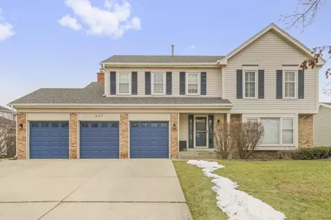 807 Heatherstone Dr, Schaumburg, IL 60173
