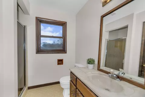 3905 153rd Pl, Midlothian, IL 60445 photo 22