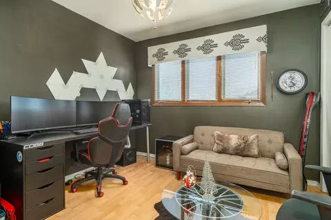 7326 S Octavia Ave, Bridgeview, IL 60455 photo 19