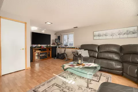 7326 S Octavia Ave, Bridgeview, IL 60455 photo 24
