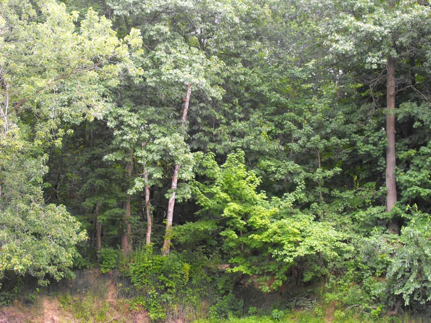 Sec 36 T 27n -R12w Rd  