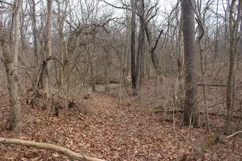 12588 Solomon Rd, Dewitt, IL 61735 photo 9