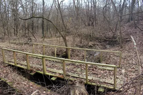 12588 Solomon Rd, Dewitt, IL 61735 photo 8
