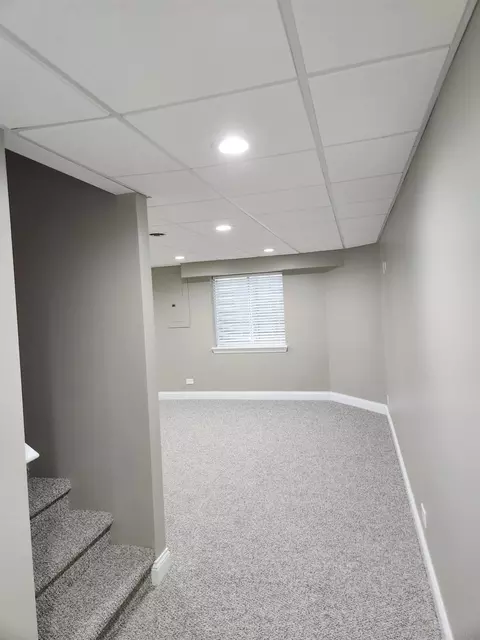 1326 Tamarack Dr, Bartlett, IL 60103 photo 28