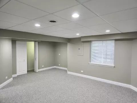 1326 Tamarack Dr, Bartlett, IL 60103 photo 29
