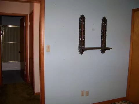 Other - 411 S Williams St, Forrest, IL 61741 photo 12 of 14
