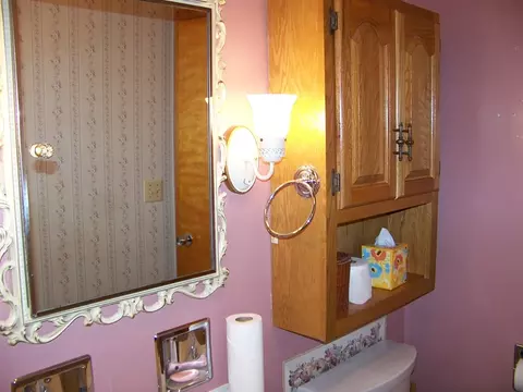 Bath - 411 S Williams St, Forrest, IL 61741 photo 3 of 4