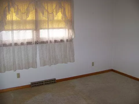 Other - 411 S Williams St, Forrest, IL 61741 photo 9 of 14