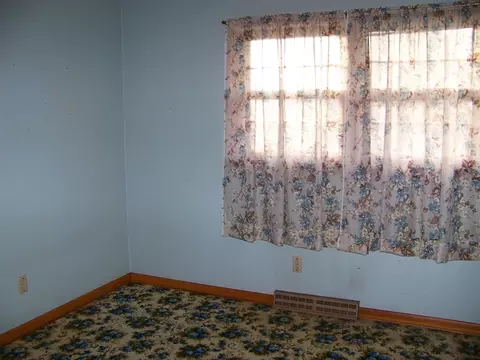 Other - 411 S Williams St, Forrest, IL 61741 photo 11 of 14