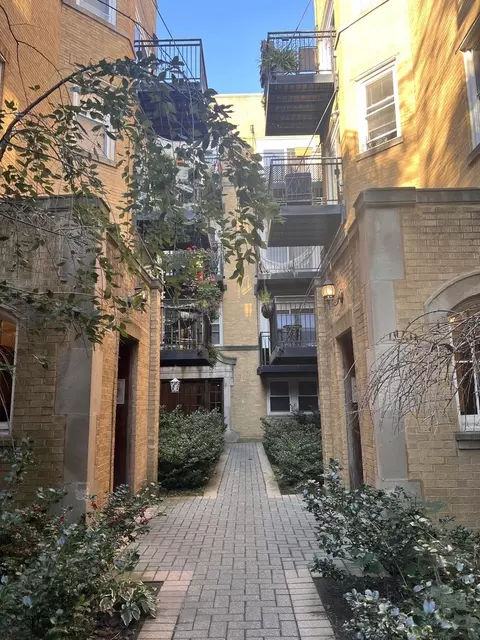 7046 N Damen Ave #2, Chicago, IL 60645