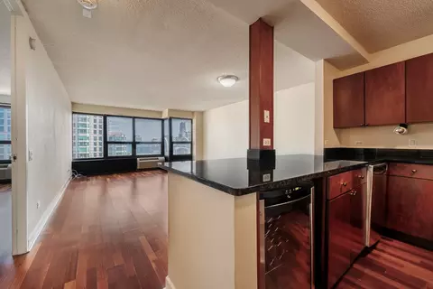 30 E Huron St #5001, Chicago, IL 60611 photo 3