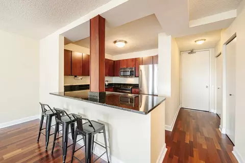 30 E Huron St #5001, Chicago, IL 60611 photo 5