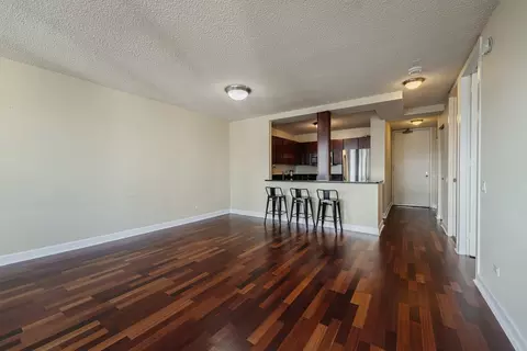 30 E Huron St #5001, Chicago, IL 60611 photo 9