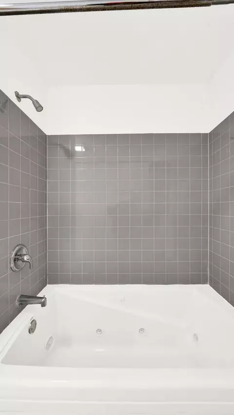 Bath - Undisclosed, Midlothian, IL 60445 photo 4 of 4