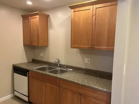108 E Bailey Rd #L, Naperville, IL 60565 photo 3