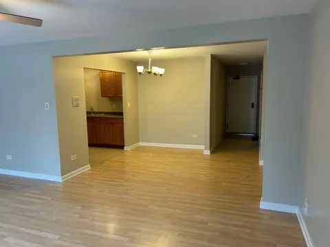 108 E Bailey Rd #L, Naperville, IL 60565 photo 7