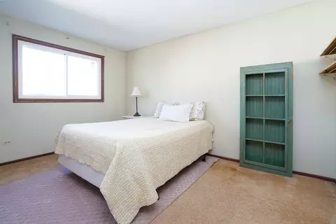 Bedroom - 13718 S Mallard Dr, Plainfield, IL 60544 photo 2 of 5