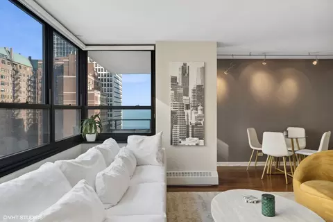 Living - 33 E Cedar St #14H, Chicago, IL 60611 photo 3 of 5
