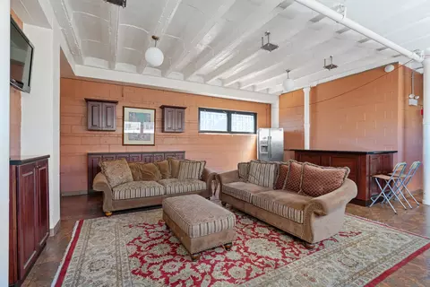 Living - 33 E Cedar St #14H, Chicago, IL 60611 photo 5 of 5