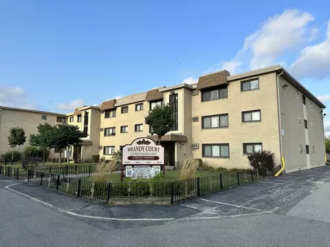 9635 Brandy Ct #6, Des Plaines, IL 60016 photo 17