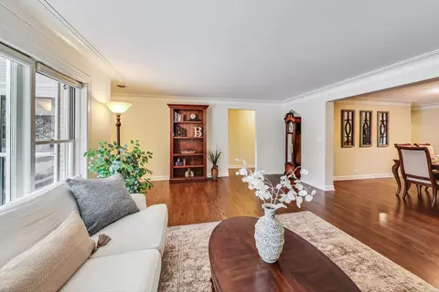 Living - 604 S Pine St, Mount Prospect, IL 60056 photo 3 of 6