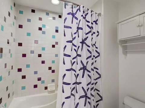 Bath - 110 E Wilson St, Elmhurst, IL 60126 photo 7 of 8